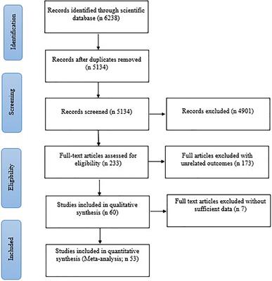 The Effect of Yoga on the Lipid Profile: A Systematic Review and Meta-Analysis of Randomized Clinical Trials